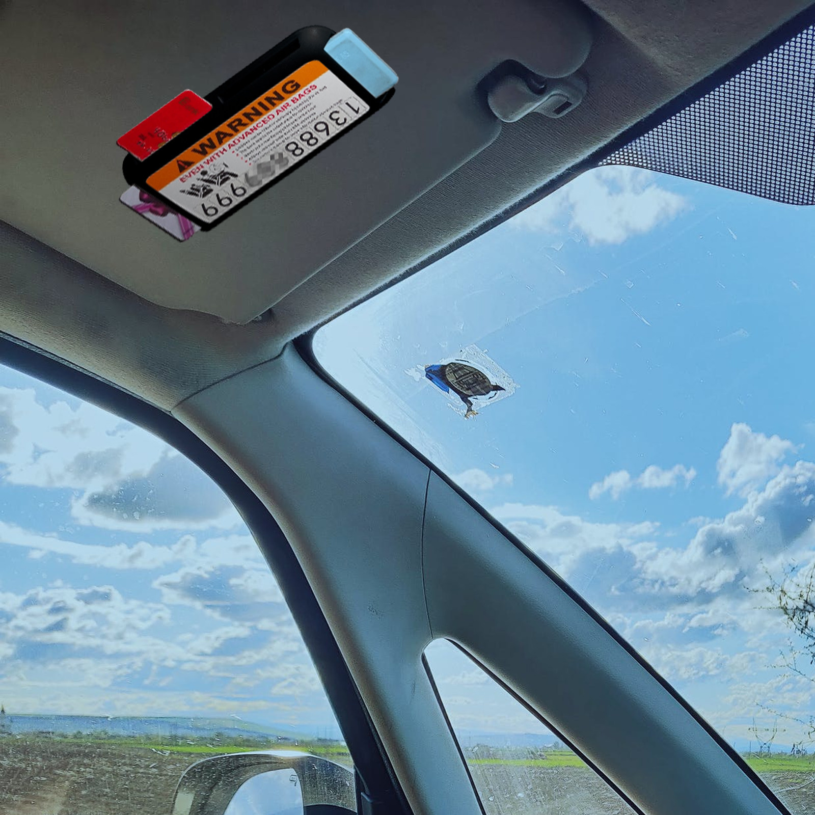 2Pcs Car Sun Visor Organizer C - đánh giá và giá Car Trunk Organizer