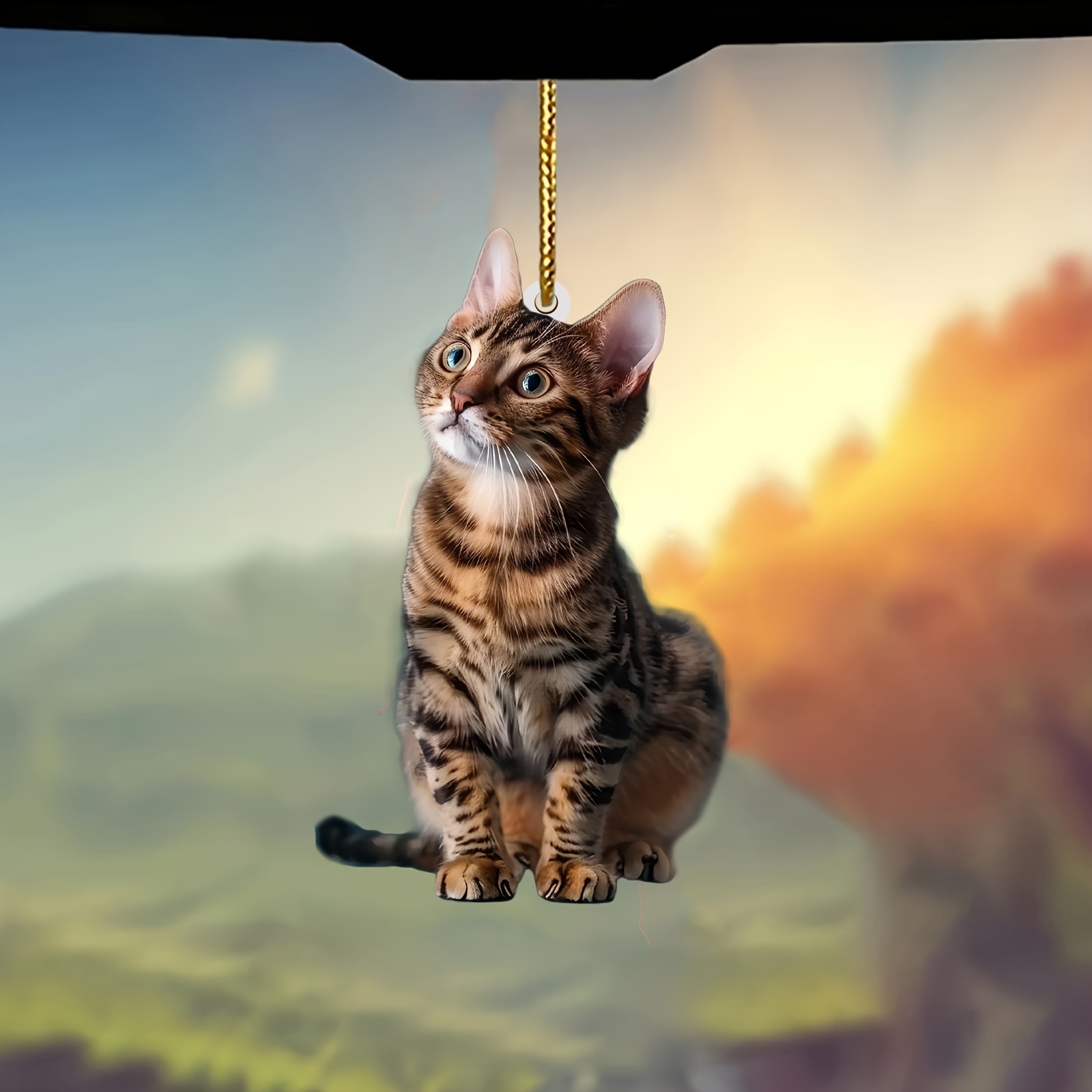 3pcs 2D Flat Cat Acrylic Penda - đánh giá và giá Car Accessories Oman